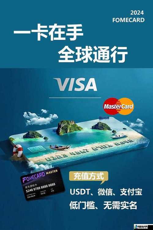 解析 JANPENSE VISA：揭开神秘面纱